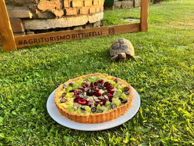 Agriturismo Bitturelli 폰티술민치오 외부 사진
