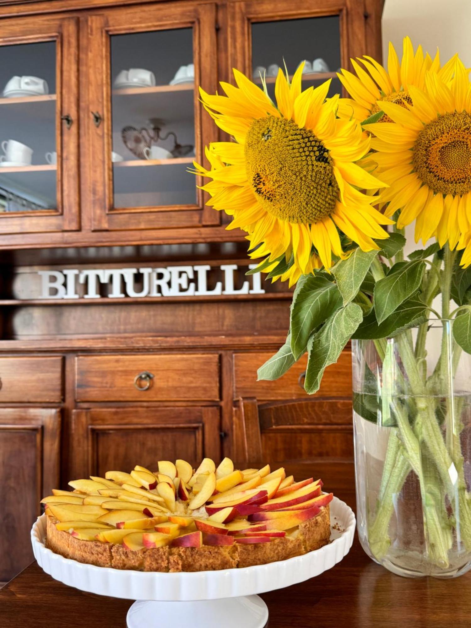 Agriturismo Bitturelli 폰티술민치오 외부 사진