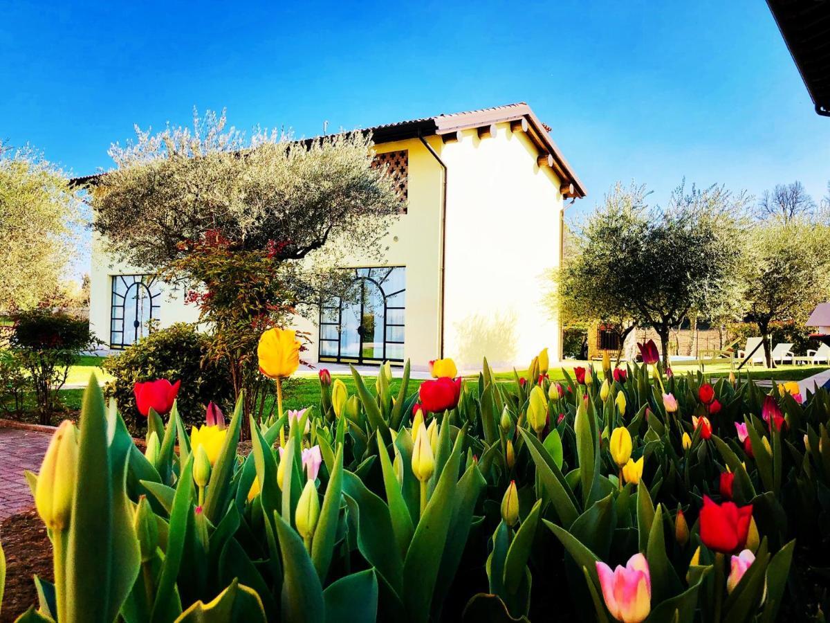 Agriturismo Bitturelli 폰티술민치오 외부 사진